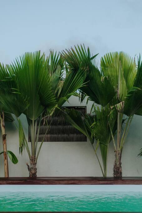 Breezy Sport House Casa Chale Holiday home